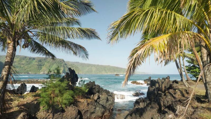Maui: Private Road to Hana Rainforest and Waterfall Tour - An In-Depth Look at the Private Road to Hana Tour