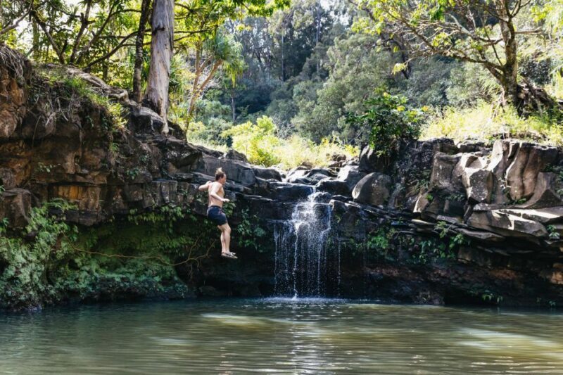 Maui: Rainforest Waterfalls Guided Hike with Picnic Lunch - Detailed Review