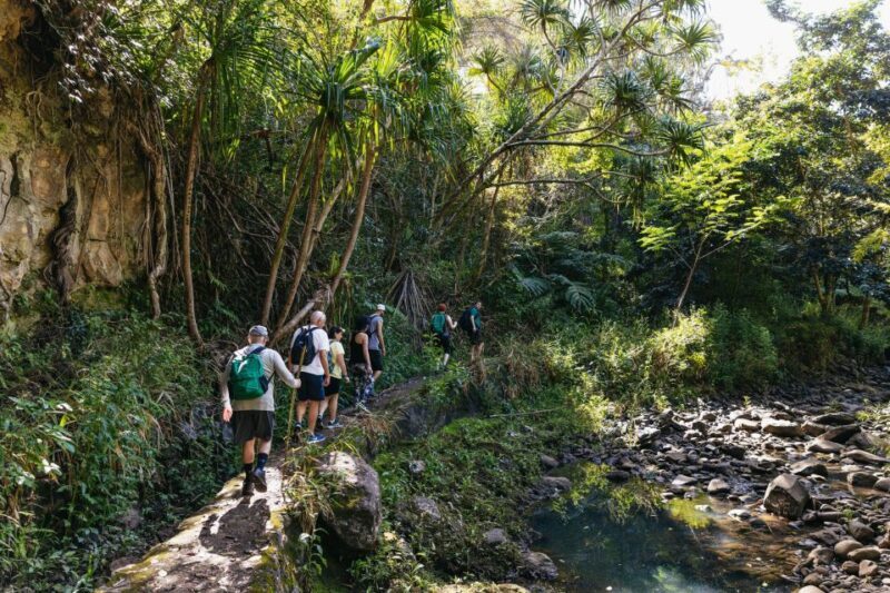 Maui: Rainforest Waterfalls Guided Hike with Picnic Lunch - FAQ