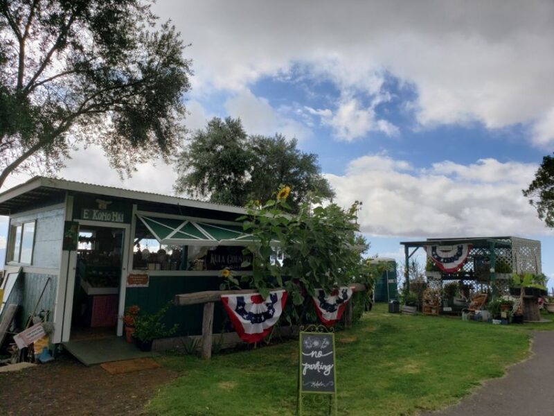 Maui: Road to Hana Adventure with Breakfast & Lunch - Authentic Experiences and Tips for a Smooth Trip