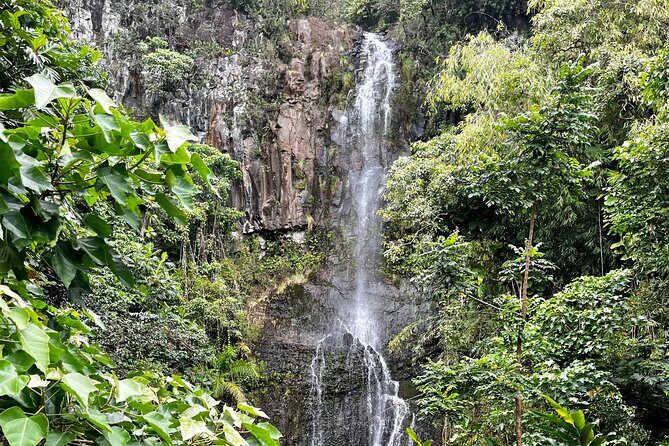 Maui Road to Hana VIP Private Tour in Convertible Bronco - Authentic Experiences and Authentic Guides