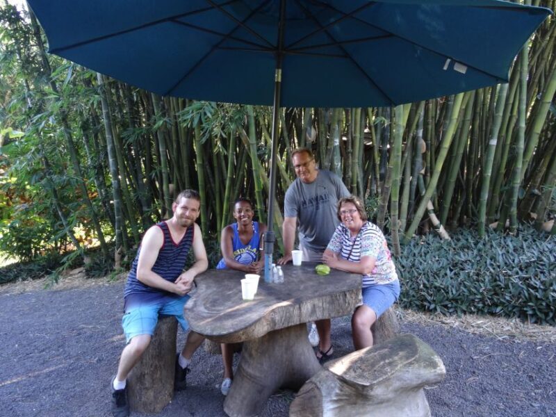 Maui: Road to Hana Waterfalls Tour with Lunch - Is This Tour Right for You?