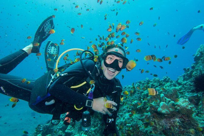 Maui Scuba Diving Introductory Lesson from Lahaina - Marine Life and Reef Highlights