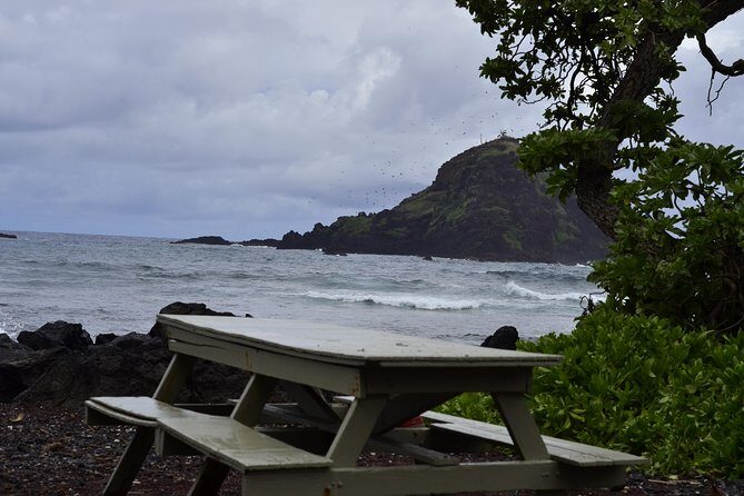 Maui Shore Excursion : Road to Hana Day Trip P/up Ka'anapali - Who is This Tour Best For?