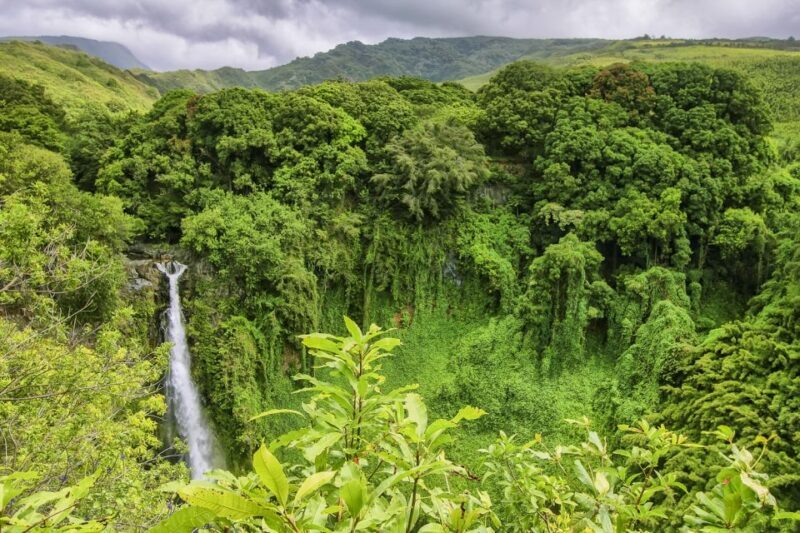 Maui: Small-Group Road to Hna Sightseeing Tour - Key Points
