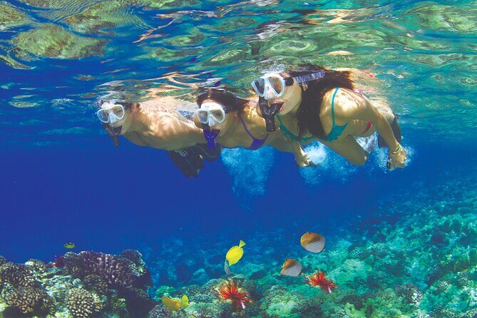 Maui Snorkel and Sunset Sail - Maui Snorkel and Sunset Sail: A Detailed Review