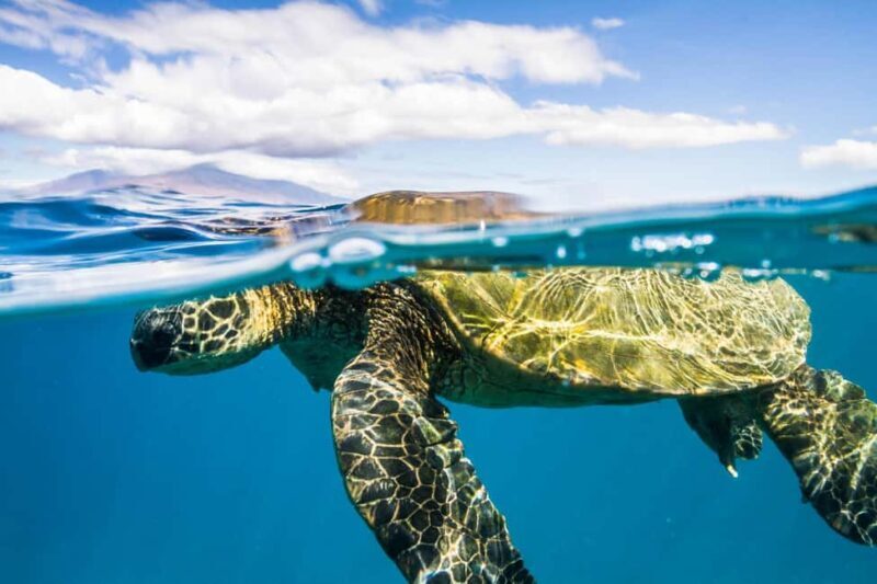 Maui: Snorkel and Sunset Sail with Water Slide - Key Points