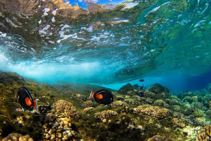 Maui: Snorkel and Sunset Sail with Water Slide - The Sum Up: Is It Worth It?