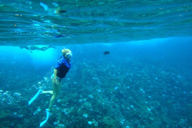 Maui Snorkel & Slide - Pricing & Value