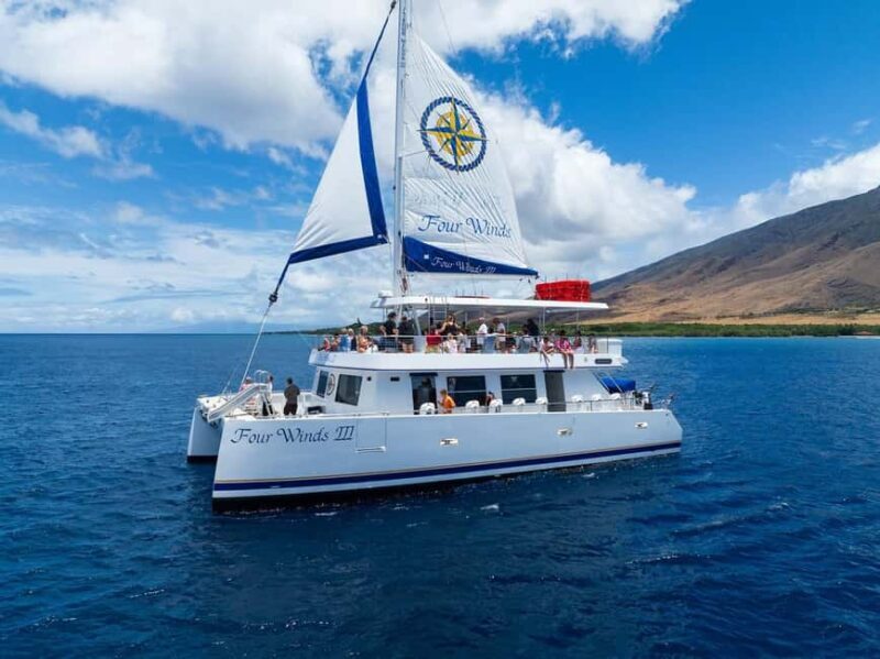 Maui: Snorkel Tour to Coral Gardens - The Experience’s Value