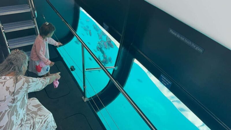 Maui: Snorkel Tour to Coral Gardens - The Sum Up