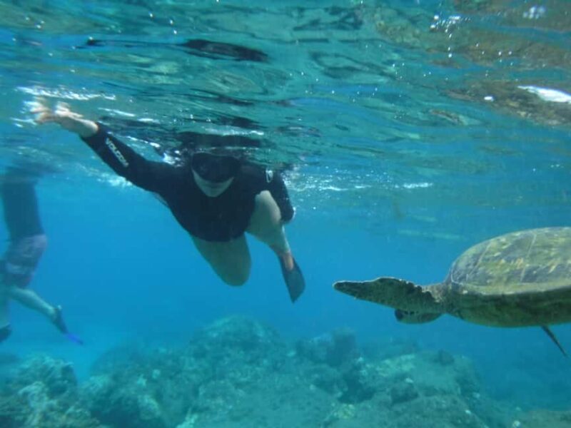 Maui: Snorkeling Tour with Gear and Instructor - What to Expect During Your Snorkeling Adventure