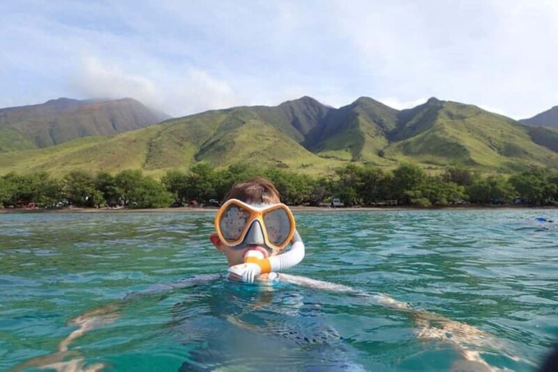Maui: Snorkeling Tour with Gear and Instructor - Who Will Enjoy This Tour?