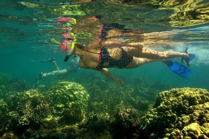 Maui South Shore Premier Kayak and Snorkel Tour from Makena Beach - An in-depth look at the Maui South Shore Kayak and Snorkel Tour
