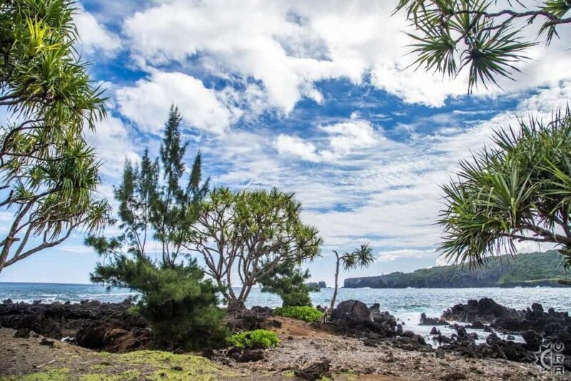 Maui: The Ultimate Road to Hana Slingshot Adventure Tour - The Sum Up