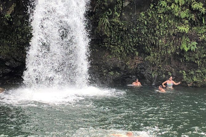 Maui Tour : Road to Hana Day Trip from Kahului Lunch, Water, Chip - Who Should Consider This Tour?