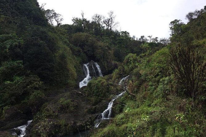 Maui Tour : Road to Hana Day Trip from Lahaina with Pick-up - Price and Value
