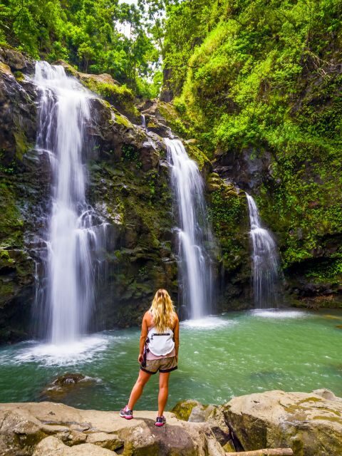 Maui Tropical Rainforest Eco Tour with Lunch - A Closer Look at What to Expect