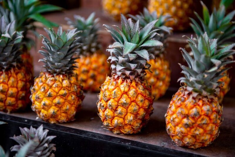 Maui Tropical Rainforest Eco Tour with Lunch - Frequently Asked Questions