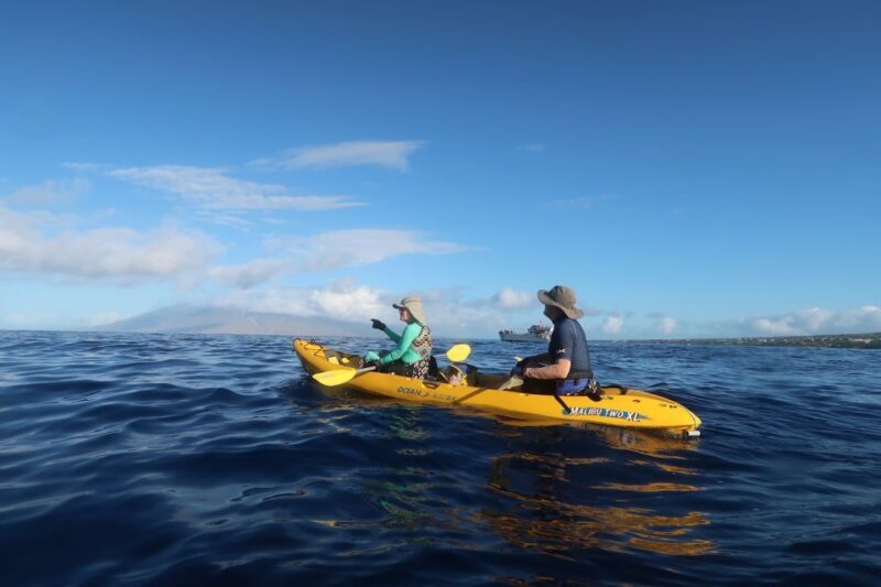 Maui: Turtle Town Kayak and Snorkel Tour - Who Should Consider This Tour?