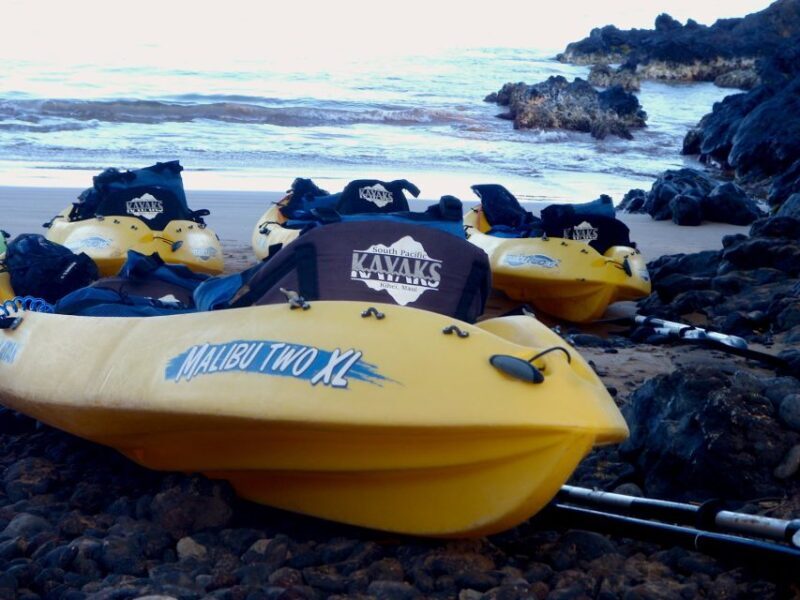 Maui: Turtle Town Kayak and Snorkel Tour - The Sum Up