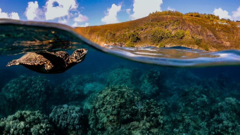 Maui: Turtle Town Sunset Glow Snorkel With Optional Photo - Is the Tour Worth the Price?