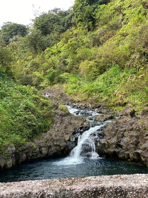 Maui: Van Day Trip to Hana with Local Guide and Lunch - Who Will Love This Tour?