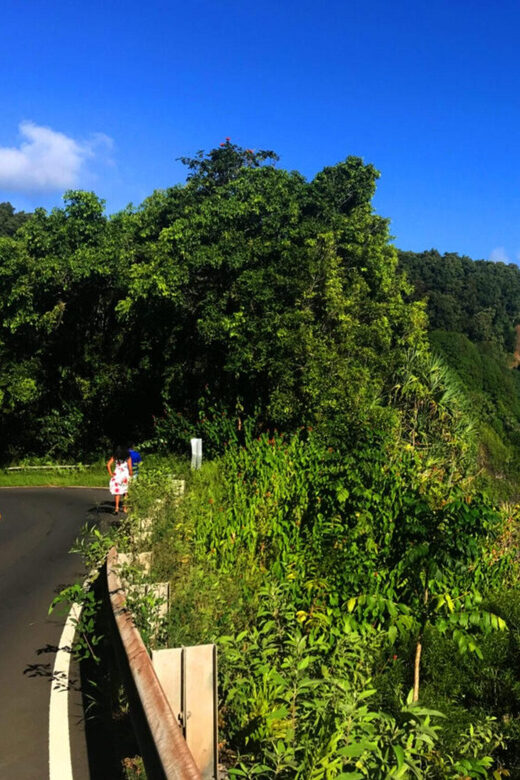 Maui: West Maui Tour with Breakfast and Lunch - A Full Breakdown of the West Maui Tour Experience