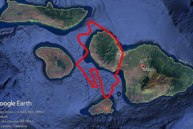 Maui Whale Watching -PRIVATE- Air Tour: (2-5 People): SEE WHALES! - The Sum Up