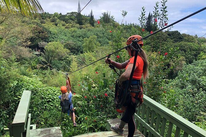 Maui Zipline Eco Adventure: 8 Lines through the Jungle - Key Points