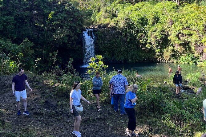 Mauis Sea Turtles, Waterfalls and Road to Hana Adventure - Exploring the Itinerary in Depth