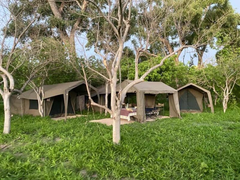 Maun: 6-Day Okavango, Savuti, Chobe &Victoria Falls Tour - What’s Included and What’s Not