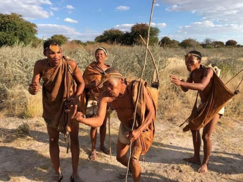 Maun: 8-Day Okavango Delta Safari with Camping - Game Drives and Boat Cruises at Mboma Island