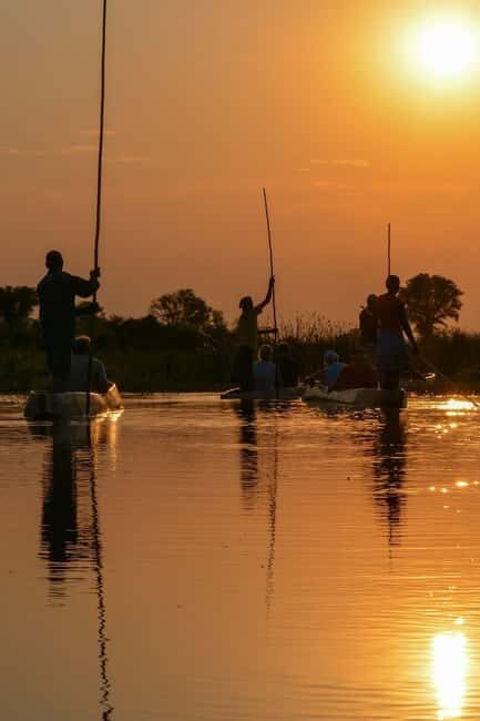 Maun: 8-Day Okavango Delta Safari with Camping - Moving to Xakanaxa and Dead Trees Island