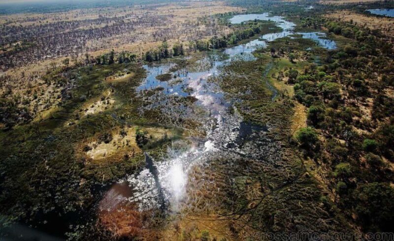 Maun Highlights Safari 3 Days/2 Nights - Introduction: Why Consider This Safari?