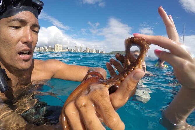 Mauna Kea 2hr One Stop Sealife Snorkel Adventure - Authentic Encounters and Marine Life