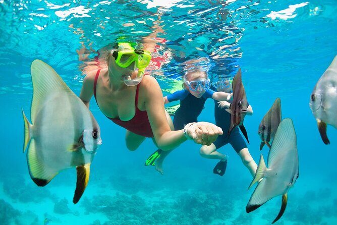 Mauna Kea 2hr One Stop Sealife Snorkel Adventure - FAQ: Your Questions Answered