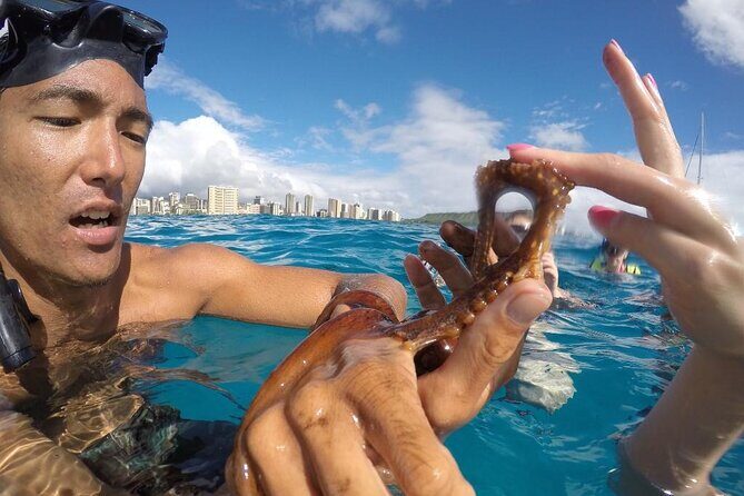 Mauna Kea 3hr Two Stop Sealife Snorkel Adventure - The Itinerary and Experience: What to Expect from Start to Finish