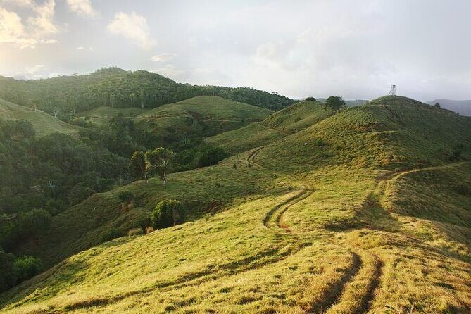 Mauritius: 2 Hours Buggy Ride - Bel Ombre Nature Reserve - Why This Tour Is Worth Considering