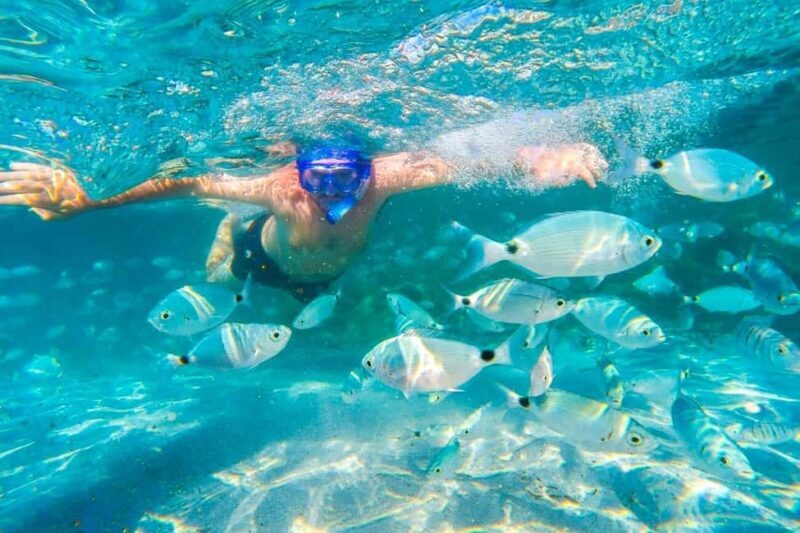 Mauritius: 5 East Coast Islands Tour with Snorkeling & Lunch - Final Thoughts