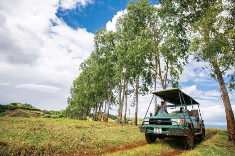 Mauritius: Bel Ombre Nature Reserve 4x4 Safari Adventure - Key Points