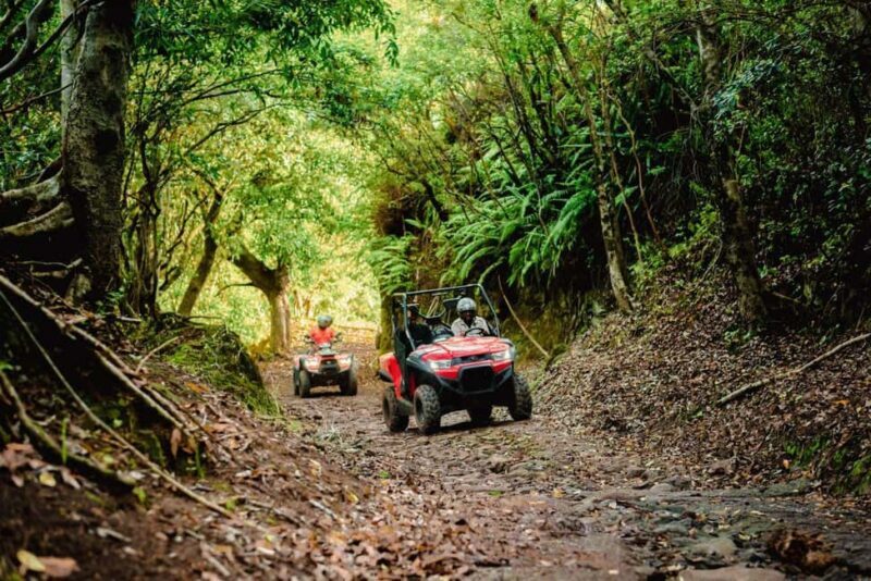 Mauritius: Bel Ombre Nature Reserve Quad Bike Tour - An In-Depth Look at the Bel Ombre Quad Bike Tour