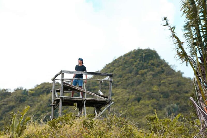 Mauritius: Black River Gorges Guided Hike - What’s Included and What to Bring