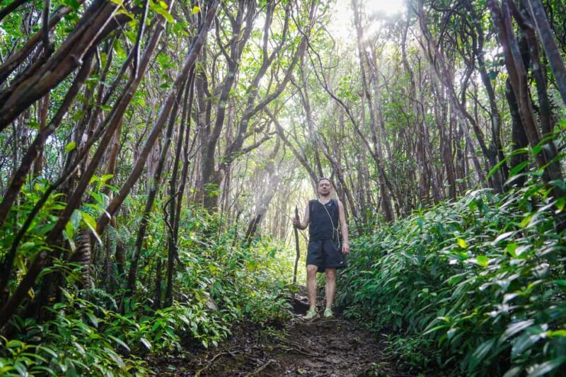 Mauritius: Black River Gorges Guided Hike - Logistics and Practicalities