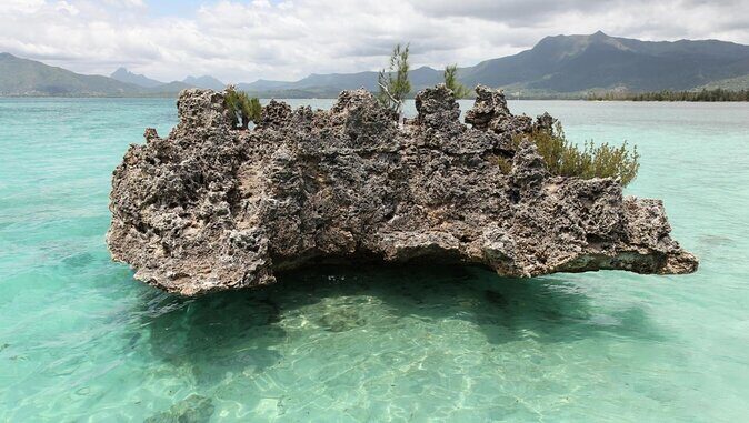 Mauritius : Dolphins Swim and Ile Aux Bénitiers with BBQ - Key Points
