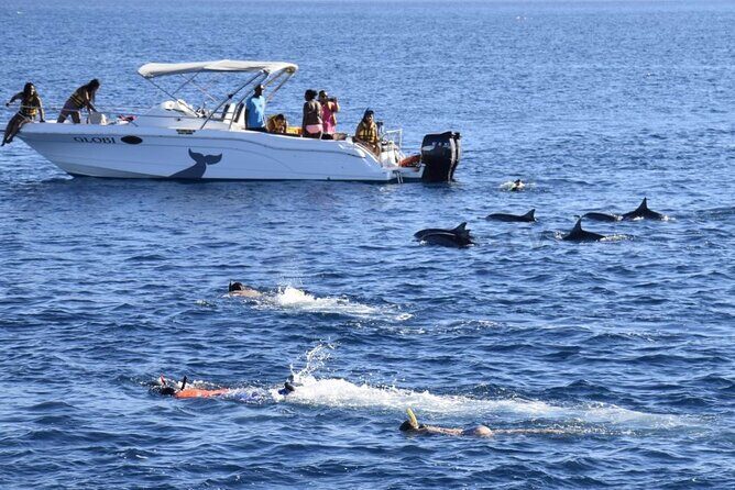 Mauritius : Dolphins Swim and Ile Aux Bénitiers with BBQ - What to Expect From the Tour