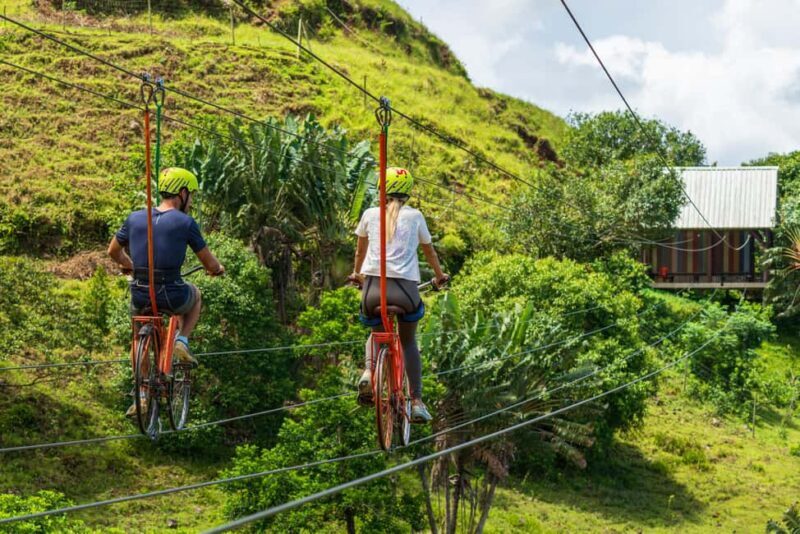 Mauritius: Ganga Talao, Vallé, and Bicycle Zipline - Vallé Park: Nature’s Kaleidoscope