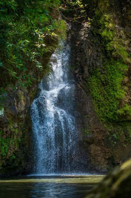 Mauritius: Ganga Talao, Vallé, and Bicycle Zipline - Transportation, Timing, and Overall Value