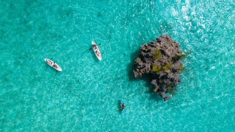 Mauritius: Guided Kayak tour to Benitiers Island - The Experience in Detail