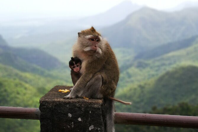 Mauritius Guided South tour (Private) - Key Points